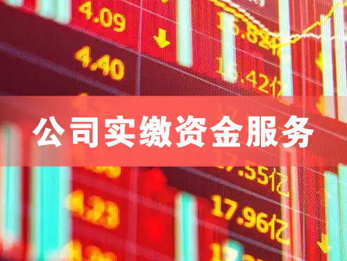 固镇公司实缴资金服务